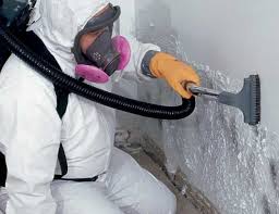 Environmental Consulting for Mold Prevention in Marseilles, IL